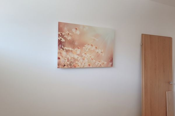 infrapanely-heatwell-bytovy-dum-jesenik-1-s-motivem-3ADD90878-237B-6E7E-6028-C1A07BE9F7AF.jpg