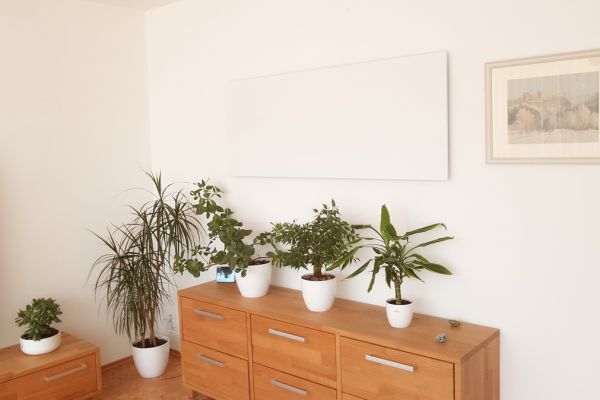 infrapanel-heatwell-910w-bily-bezramovy-v-obyvacim-pokoji-2436B48CA-741F-27E3-C25C-7C9DCF1D3869.jpg