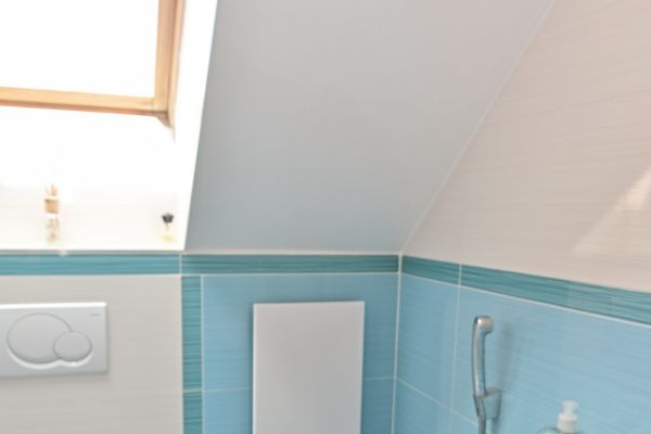 wc-infrapanel-heatwell-250w-fl13338614-1B9E-0D02-E76E-308D54D077E6.jpg